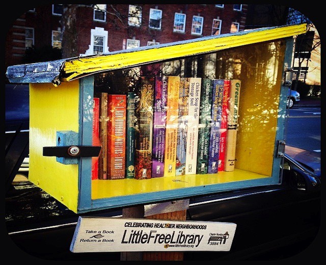 little-free-library-2