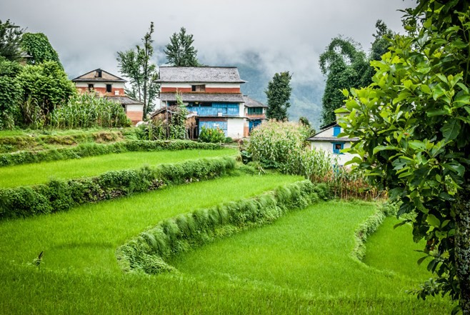 Verde Nepal