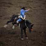 Rodeo USA Cody - A cavalcioni