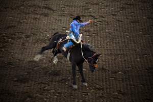 Rodeo USA Cody - A cavalcioni