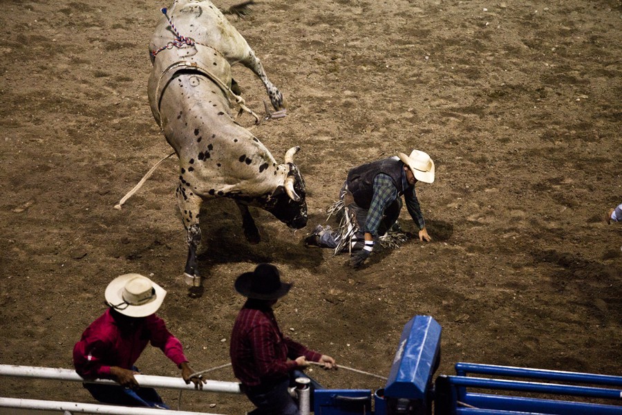 Rodeo USA Cody - Bull vs. Man