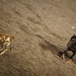 Rodeo USA Cody - Man vs. bull