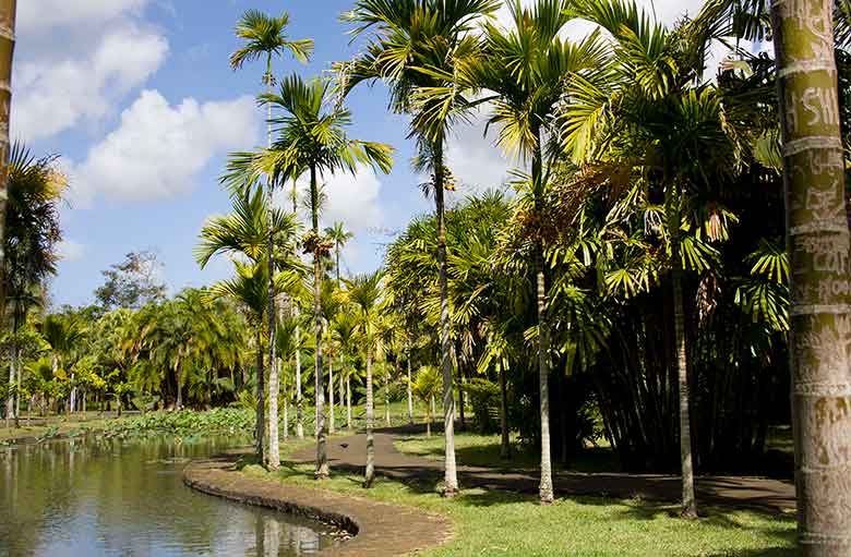 Parco botanico sull'isola di Mauritius