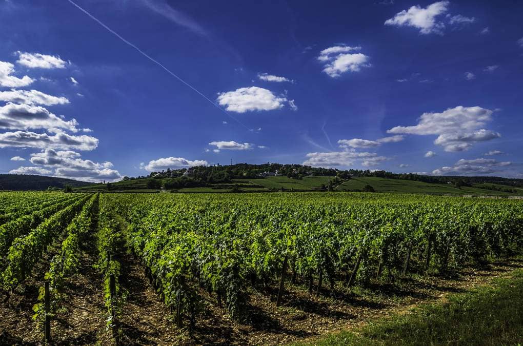 strade del vino sud est francia